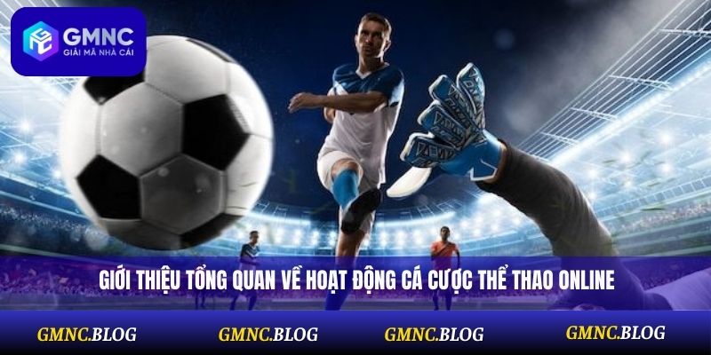 Giới thiệu tổng quan về hoạt động cá cược thể thao online