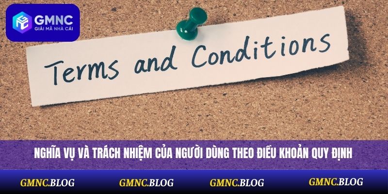 Nghĩa vụ và trách nhiệm của người dùng theo điều khoản quy định